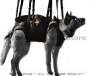Tactical Insertion Harness - Crucial harness in rapid ascending Tactical Insertion Harness - Crucial harness in rapid ascending