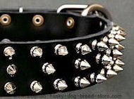 Black Leather Spiked Dog Collar for siberian husky Black Leather Spiked Dog Collar for siberian husky