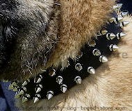 Leather Spiked Dog Collar - 3 Rows of spikes for Akita,Malamute