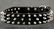 Black Spiked Leather Dog Collar for Siberian Husky Black Spiked Leather Dog Collar for Siberian Husky