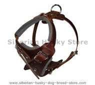 Comfort Padded Dog Harness for Siberian husky Comfort Padded Dog Harness for Siberian husky