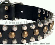Custom Studded Leather Dog Collar for Siberian Husky Custom Studded Leather Dog Collar for Siberian Husky