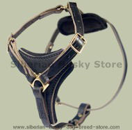 Dog Chest Harness for Siberian Husky -Leather harness Dog Chest Harness for Siberian Husky -Leather harness