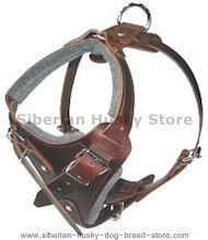 Dog Body Harness for Siberian husky-BEST Leather Dog Harness Dog Body Harness for Siberian husky-BEST Leather Dog Harness