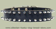 Double Row Spiked Collar for siberian husky-Leather Spike Collar Double Row Spiked Collar for siberian husky-Leather Spike Collar
