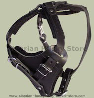 Durable Dog Harness-Leather Dog Harness for Siberian Husky Durable Dog Harness-Leather Dog Harness for Siberian Husky