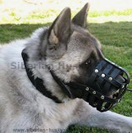 Akita leather dog muzzle - custom dog harness for Akita Inu Akita leather dog muzzle - custom dog harness for Akita Inu
