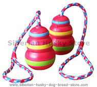 Kong Sport Dog Training Toys - Siberian Husky Dog Toy Training