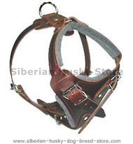 SIMILAR to Gappay Leather Defense Harness for Siberian Husky SIMILAR to Gappay Leather Defense Harness for Siberian Husky