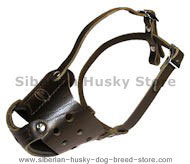 Latigo Safety Muzzle for Siberian Husky Latigo Safety Muzzle for Siberian Husky