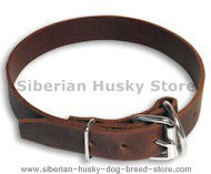 Leather Collar 1 inch wide for Siberian Husky
