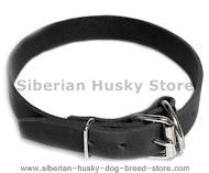 Leather Field Collar for Siberian husky