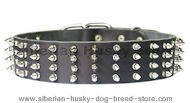 2 inch wide Leather Spiked Dog Collar for Siberian Husky 2 inch wide Leather Spiked Dog Collar for Siberian Husky