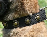 nylon dog collar for siberian nusky,akita inu,malanute