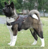 Akita Inu nylon multi-purpose dog harness with handle
