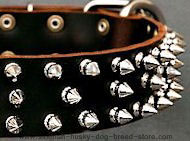 Protector Full Spiked Latigo Dog Collar for Siberian Husky Protector Full Spiked Latigo Dog Collar for Siberian Husky