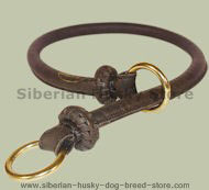 Rolled Leather Slip Collar for Siberian Husky Rolled Leather Slip Collar for Siberian Husky