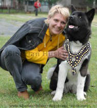 Akita Royal Dog Harness-Exclusive Design Studded Leather Harness