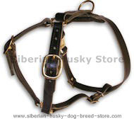 SIBERIAN HUSKY Leather Dog Harness H7 for walking and tracking