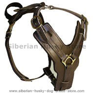 SIBERIAN HUSKY Padded Dog Harness H10 SIBERIAN HUSKY Padded Dog Harness H10