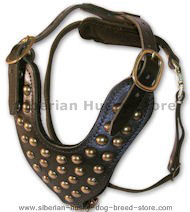 SIBERIAN HUSKY Studded Leather Dog Harness -H15 SIBERIAN HUSKY Studded Leather Dog Harness -H15
