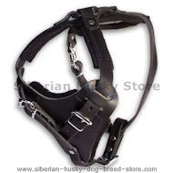 SIBERIAN HUSKY Control Dog Harness - H1