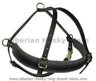 SIBERIAN HUSKY Dog Tracking Harness for walking, pulling, train