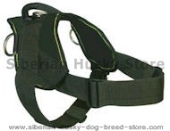 Siberian Husky Nylon multi-purpose dog harness for tracking