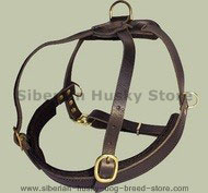 Padded Pulling Harness for Siberian husky-Leather Siberian husky