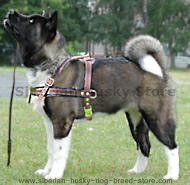 Akita Inu Tracking/Pulling Leather Dog Harness Akita Inu Tracking/Pulling Leather Dog Harness