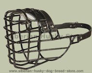 Siberian Husky Wire Dog MUZZLE for winter Siberian Husky Wire Dog MUZZLE for winter