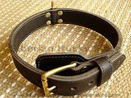 Two ply leather agitation dog collar Two ply leather agitation dog collar
