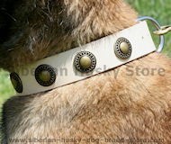 Gorgeous Wide Leather Dog Collar for Akita,Malamute,Husky