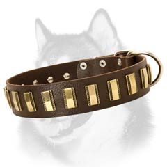 Adorned with plates leather collar
