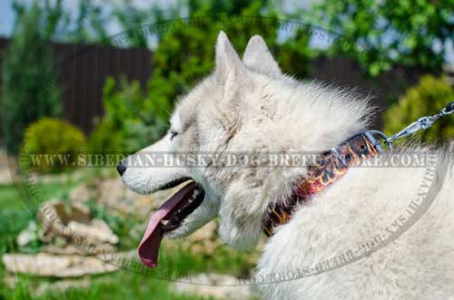 Leather dog collar for Husky with hand painted fire flames