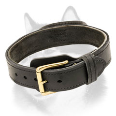 Leather dog collar with handle for Husky