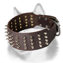 Leather dog collar for Siberian Husky with columns of spikes