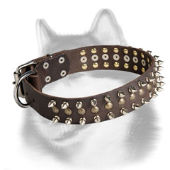 Exclusive leather Siberian Husky collar with spikes and studs