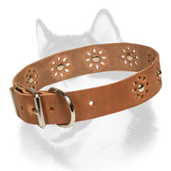 Designer leather dog collar for Siberian Husky
