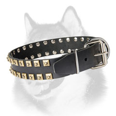 Handmade leather dog collar for Siberian Husky with nickel plated fittings