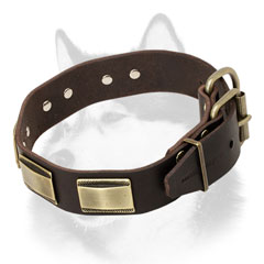 Sturdy leather dog collar for Siberian Husky