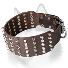 Fashion leather dog collar for Siberian Husky for walking