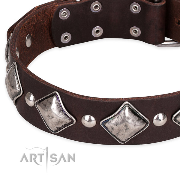 Snugly fitted leather dog collar with extra strong non-rusting buckle and D-ring