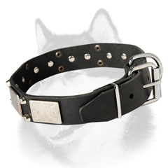 Fashion dog collar for Siberian Husky walking in style