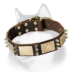 Fashion dog collar for Siberian Husky with warlike adornment