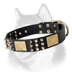 Fashion dog collar with combined adornment