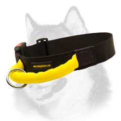 Handled nylon collar for Husky