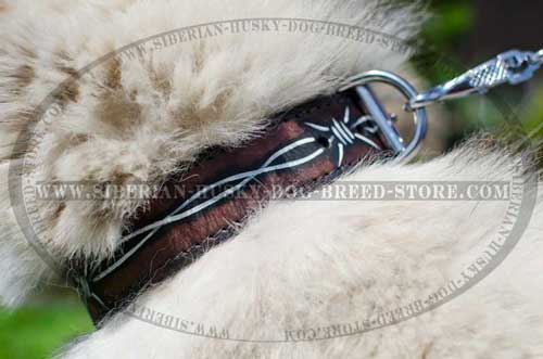 Leather dog collar for Husky barbed wire painting