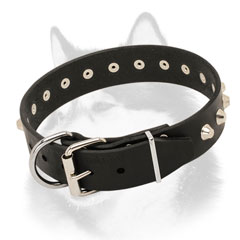 Fashion leather dog collar for Siberian Husky