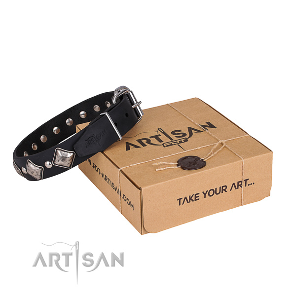Casual leather dog collar with astounding embellishments